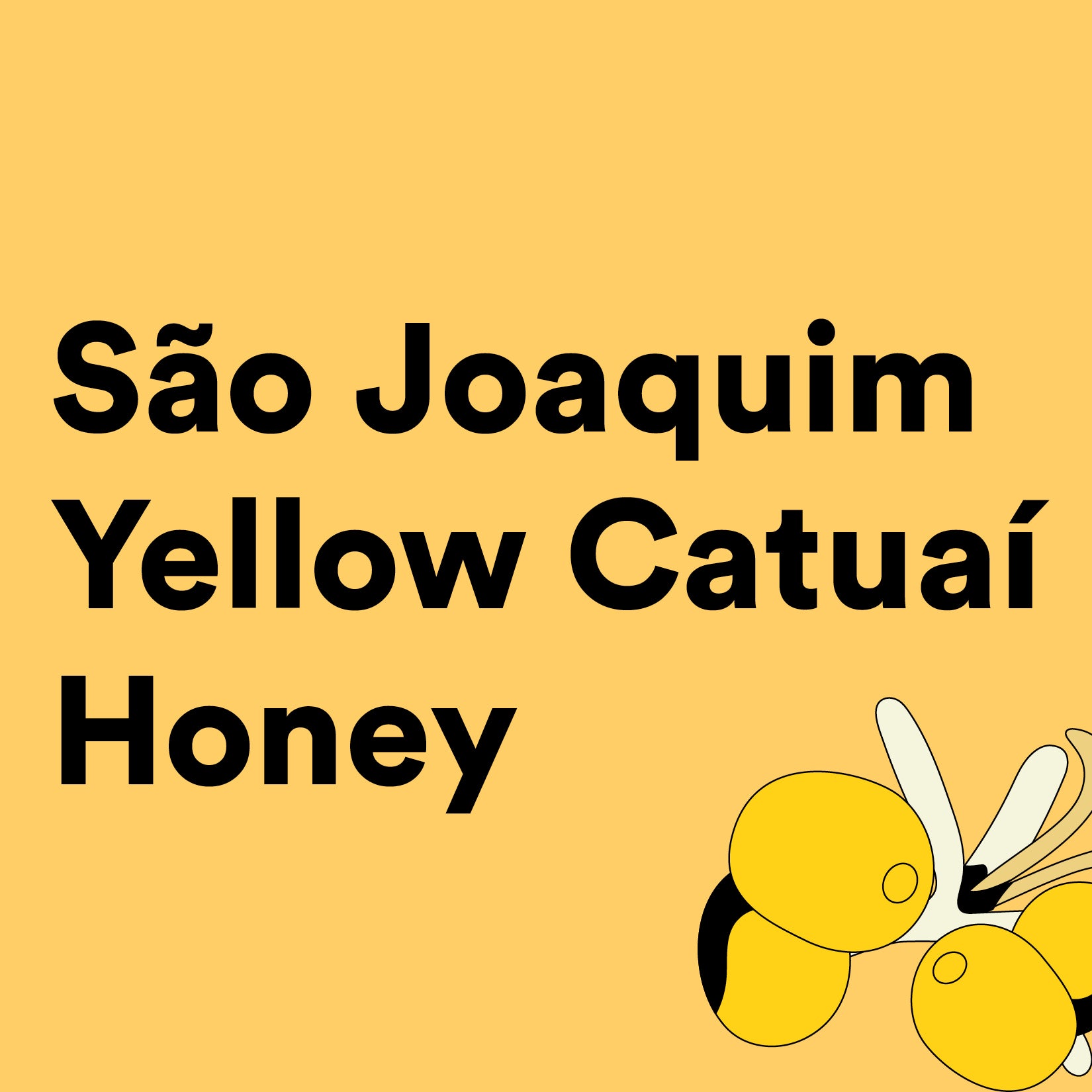 Sandi São Joaquim Yellow Catuai Honey 66 LB – 72475 B