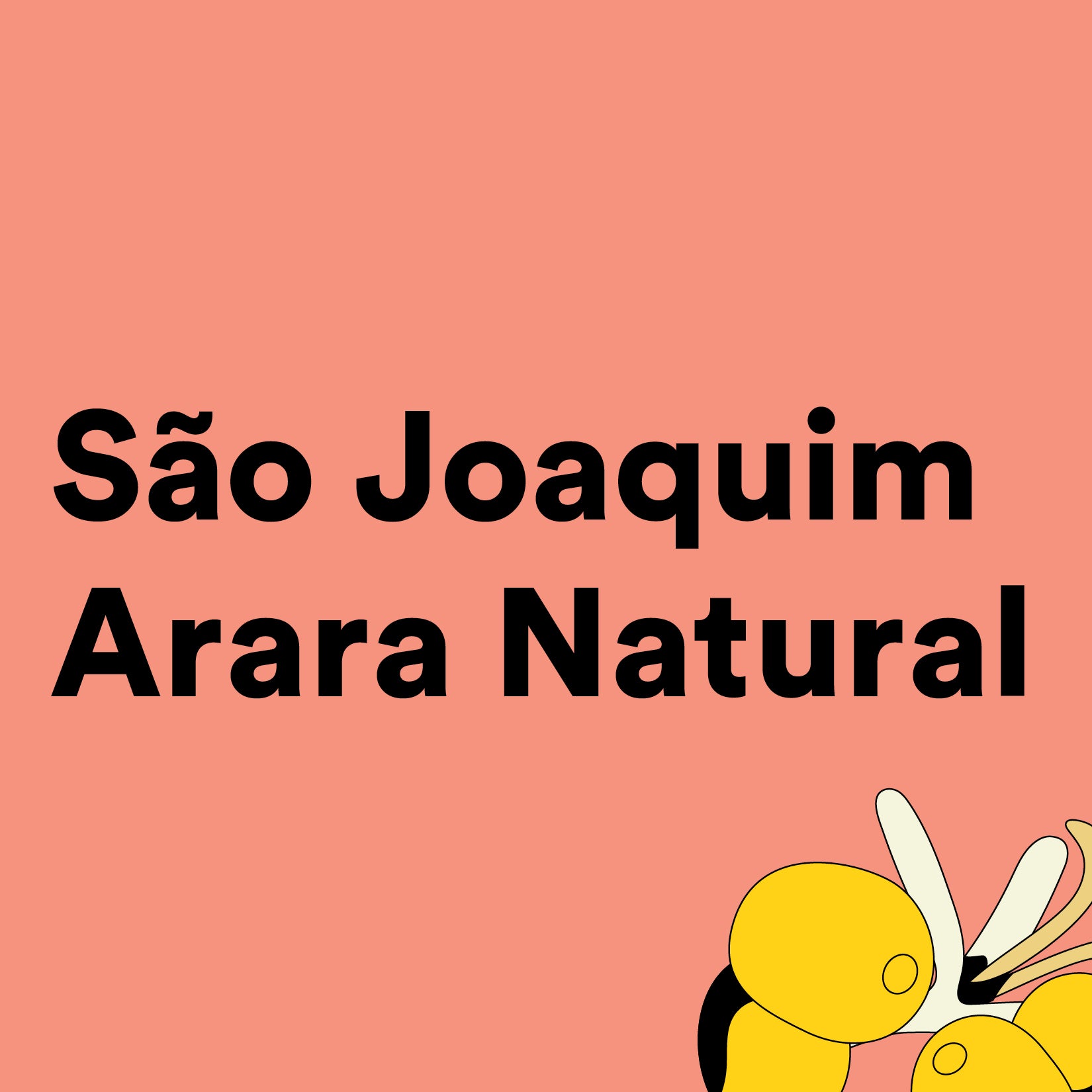 Sandi São Joaquim Arara Natural 66 LB – 74225 O